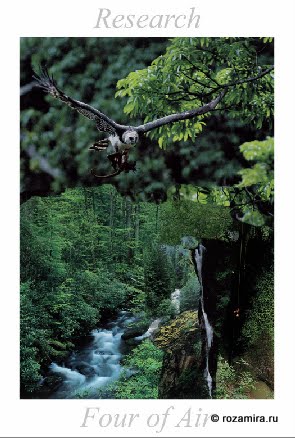 Nature Tarot by Jan Strube